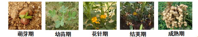 2.png 2.png