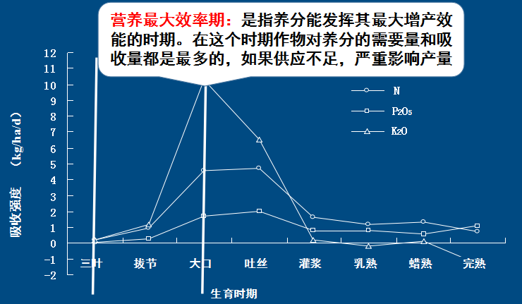 玉米2.png 玉米2.png
