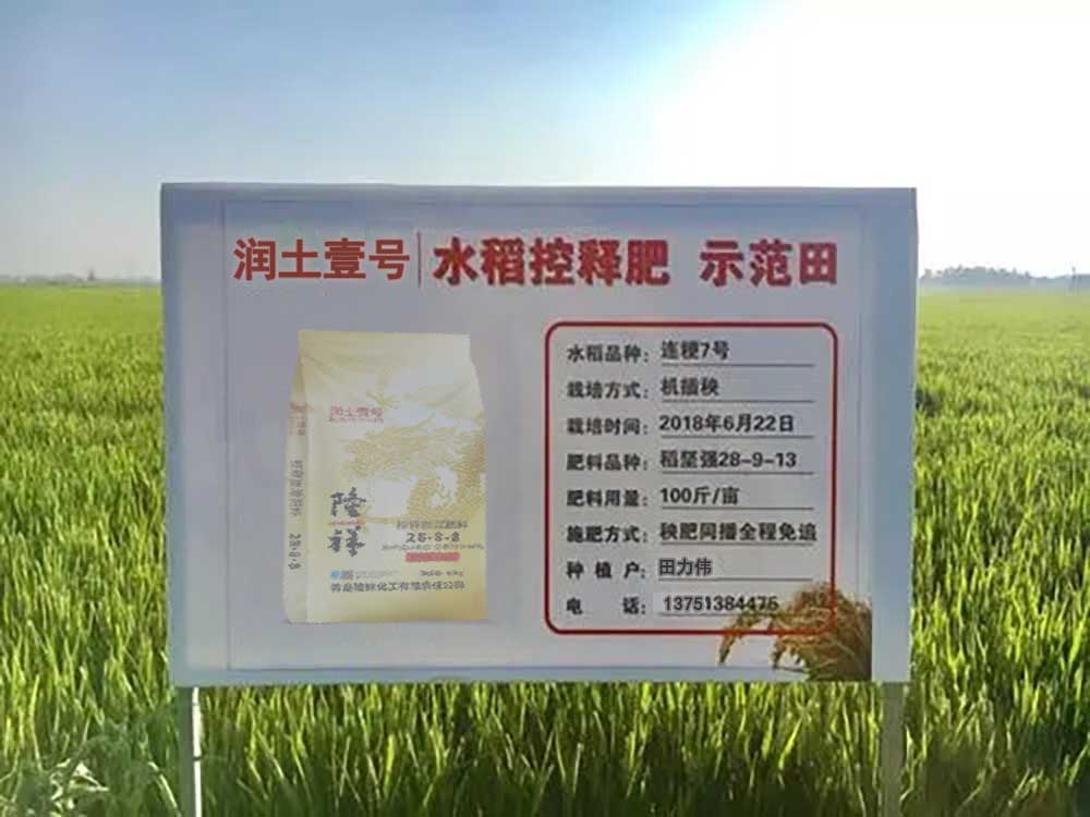 01181800wu5aYK.jpg